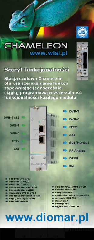 grafika-rollupy-diomar_chameleon_(2012)